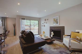 Wood-burning fireplace*